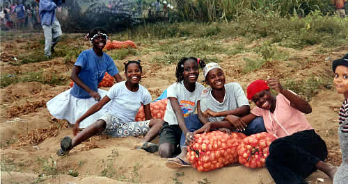 The happy harvesters