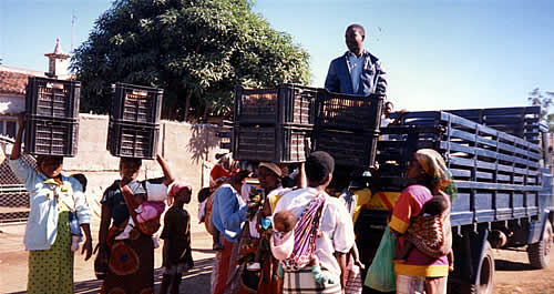 Unloading cases of bread from a truck